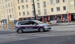 Kunstdiebstahl im Herzen von Wien: Täter auf der Flucht