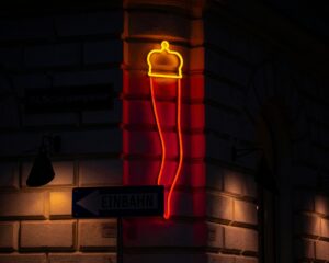 Wiener Polizei geht hart gegen illegale Prostitution vor