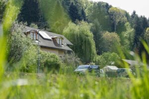 Mordlust in St. Peter: Fleischerlehrling in Haft