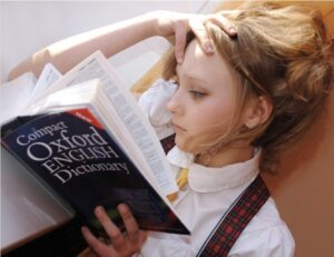 KI an Schulen: AHS-Chef fordert mehr Tests